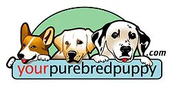 Your Purebred Puppy Promo Codes